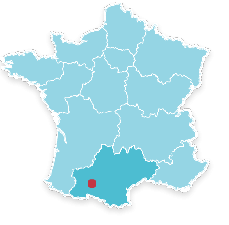 31350 Blajan